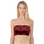 Polka Dots - Black on Maroon Red Bandeau Top