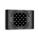 Img 0851 Mini Canvas 6  x 4  (Stretched)