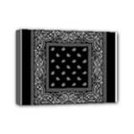 Img 0851 Mini Canvas 7  x 5  (Stretched)