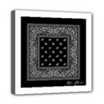 Img 0851 Mini Canvas 8  x 8  (Stretched)