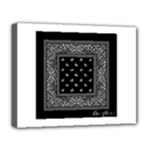 Img 0851 Deluxe Canvas 20  x 16  (Stretched)
