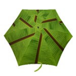 Ensete leaf Mini Folding Umbrellas