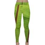 Ensete leaf Yoga Leggings 