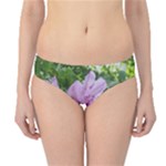 Purple Rhododendron Flower Hipster Bikini Bottoms
