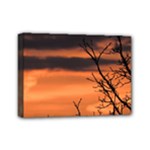 Tree branches and sunset Mini Canvas 7  x 5 