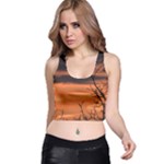 Tree branches and sunset Racer Back Crop Top