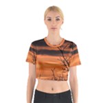 Tree branches and sunset Cotton Crop Top