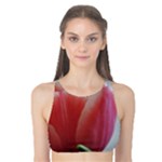 Red - White Tulip flower Tank Bikini Top