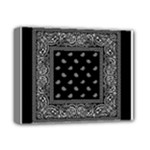 Img 0851 Deluxe Canvas 14  x 11  (Stretched)
