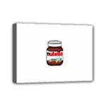 Pastedgraphic 2 Mini Canvas 7  x 5  (Stretched)