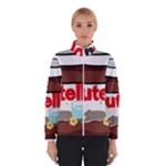 Pastedgraphic 2 Winter Jacket