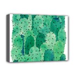 46 2 Deluxe Canvas 16  x 12  (Stretched) 