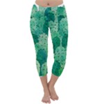 46 2 Capri Winter Leggings 