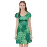 46 2 Short Sleeve Skater Dress
