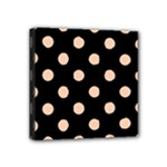 Polka Dots - Apricot Orange on Black Mini Canvas 4  x 4  (Stretched)