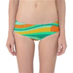 Green and orange decorative design Classic Bikini Bottoms
