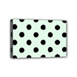 Polka Dots - Black on Pale Green Mini Canvas 6  x 4  (Stretched)