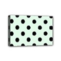 Mini Canvas 6  x 4  (Stretched) 