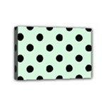 Polka Dots - Black on Pastel Green Mini Canvas 6  x 4  (Stretched)