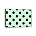 Mini Canvas 6  x 4  (Stretched) 