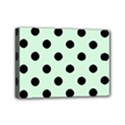 Mini Canvas 7  x 5  (Stretched) 
