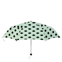 Folding Umbrella 