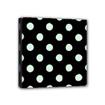 Polka Dots - Pastel Green on Black Mini Canvas 4  x 4  (Stretched)