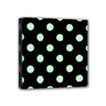 Polka Dots - Mint Green on Black Mini Canvas 4  x 4  (Stretched)