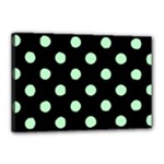 Polka Dots - Mint Green on Black Canvas 18  x 12  (Stretched)