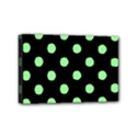 Mini Canvas 6  x 4  (Stretched) 