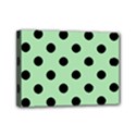 Mini Canvas 7  x 5  (Stretched) 