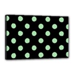Polka Dots - Celadon Green on Black Canvas 18  x 12  (Stretched)