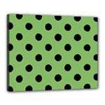 Polka Dots - Black on Dollar Bill Green Canvas 20  x 16  (Stretched)