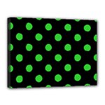 Polka Dots - Lime Green on Black Canvas 16  x 12  (Stretched)