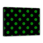 Polka Dots - Green on Black Canvas 16  x 12  (Stretched)
