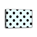 Mini Canvas 6  x 4  (Stretched) 