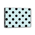 Mini Canvas 7  x 5  (Stretched) 