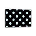 Mini Canvas 6  x 4  (Stretched) 