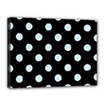 Polka Dots - Light Cyan on Black Canvas 16  x 12  (Stretched)