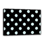 Polka Dots - Light Cyan on Black Canvas 18  x 12  (Stretched)