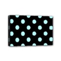 Mini Canvas 6  x 4  (Stretched) 
