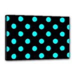 Polka Dots - Aqua Cyan on Black Canvas 18  x 12  (Stretched)