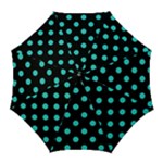 Polka Dots - Turquoise on Black Golf Umbrella