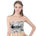 Amazing Fractal 31 A Tube Top