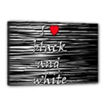 I love black and white 2 Canvas 18  x 12 