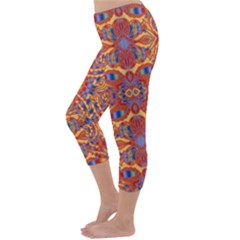 Capri Winter Leggings  Back