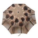 Withered Globe Thistle In Autumn Macro Folding Umbrellas