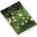 White Daisy flowers Large Memo Pads