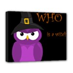 Who is a witch? - purple Deluxe Canvas 20  x 16  