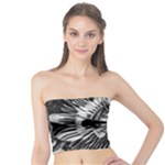 Black And White Passion Flower Passiflora  Tube Top
